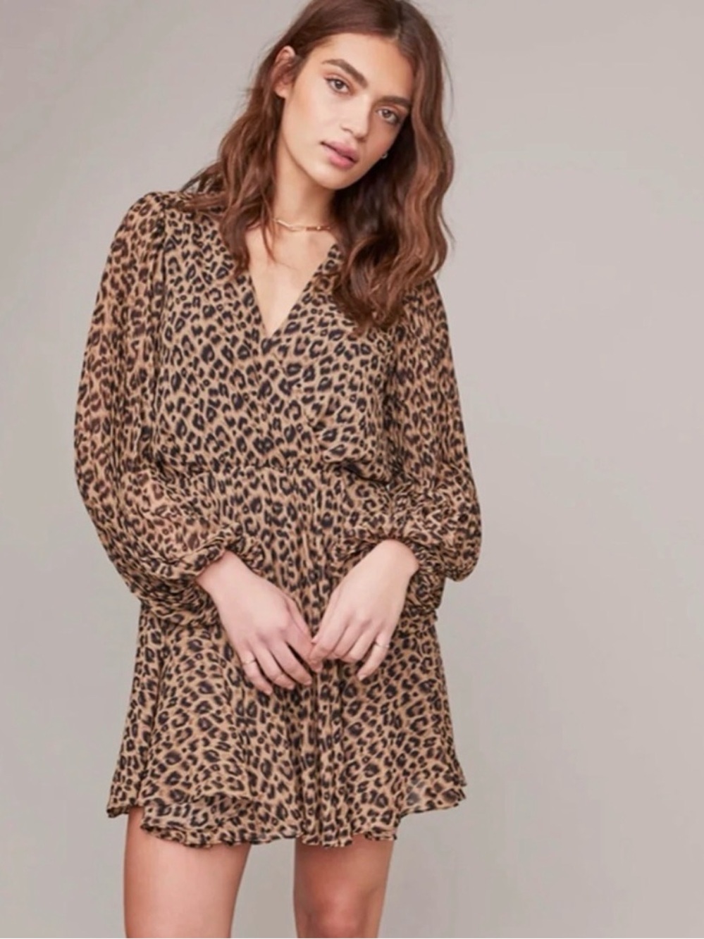 ASTR the Label "Raphaela" Leopard Print Chiffon Mini Dress